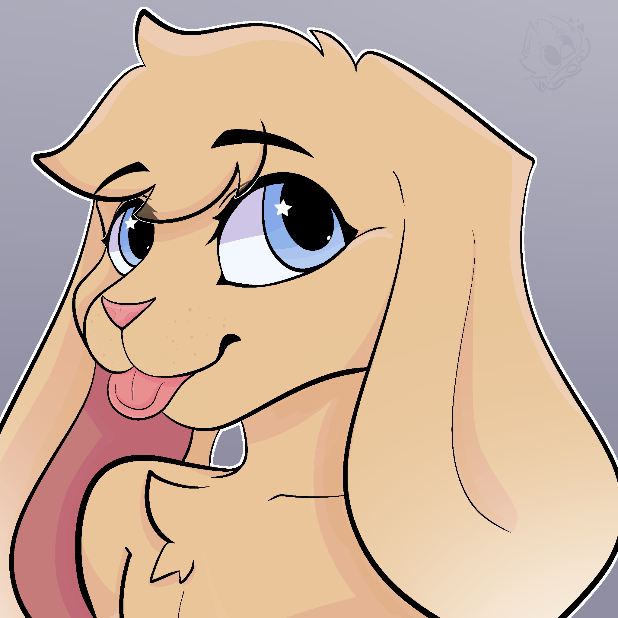 plink_dash