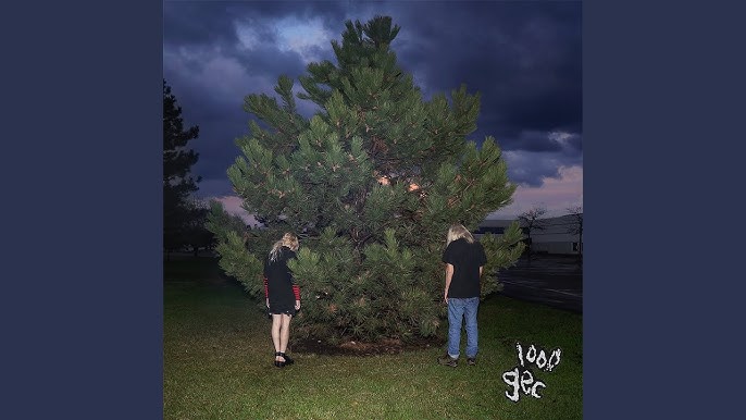 Cover art for stupid horse