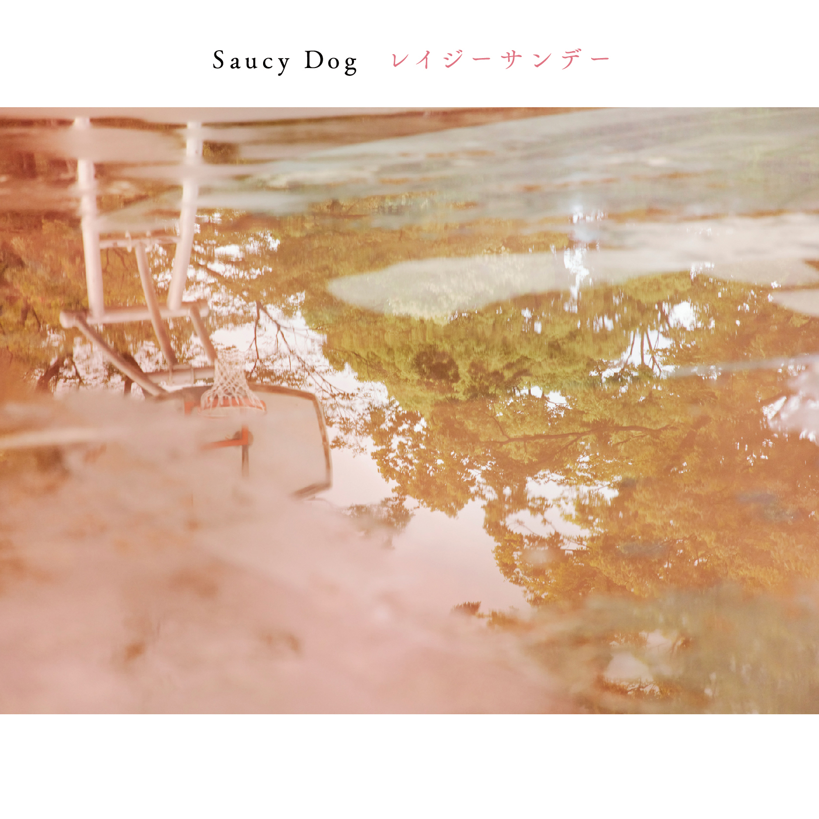 Album cover for シンデレラボーイ