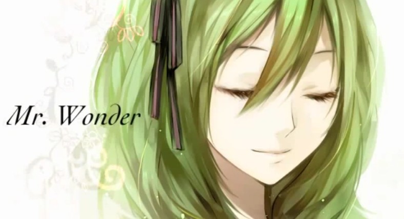 Cover art for Mr. Wonder