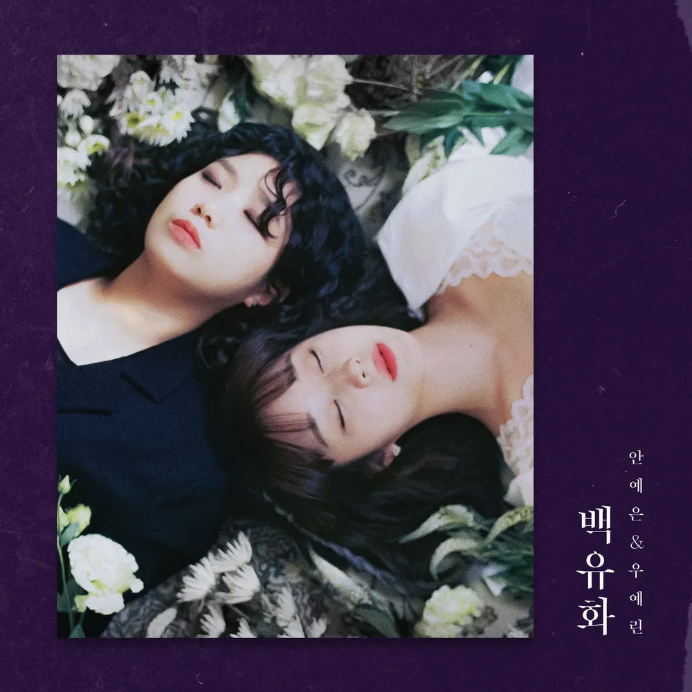Album cover for 백유화 (Burn Like A Star)