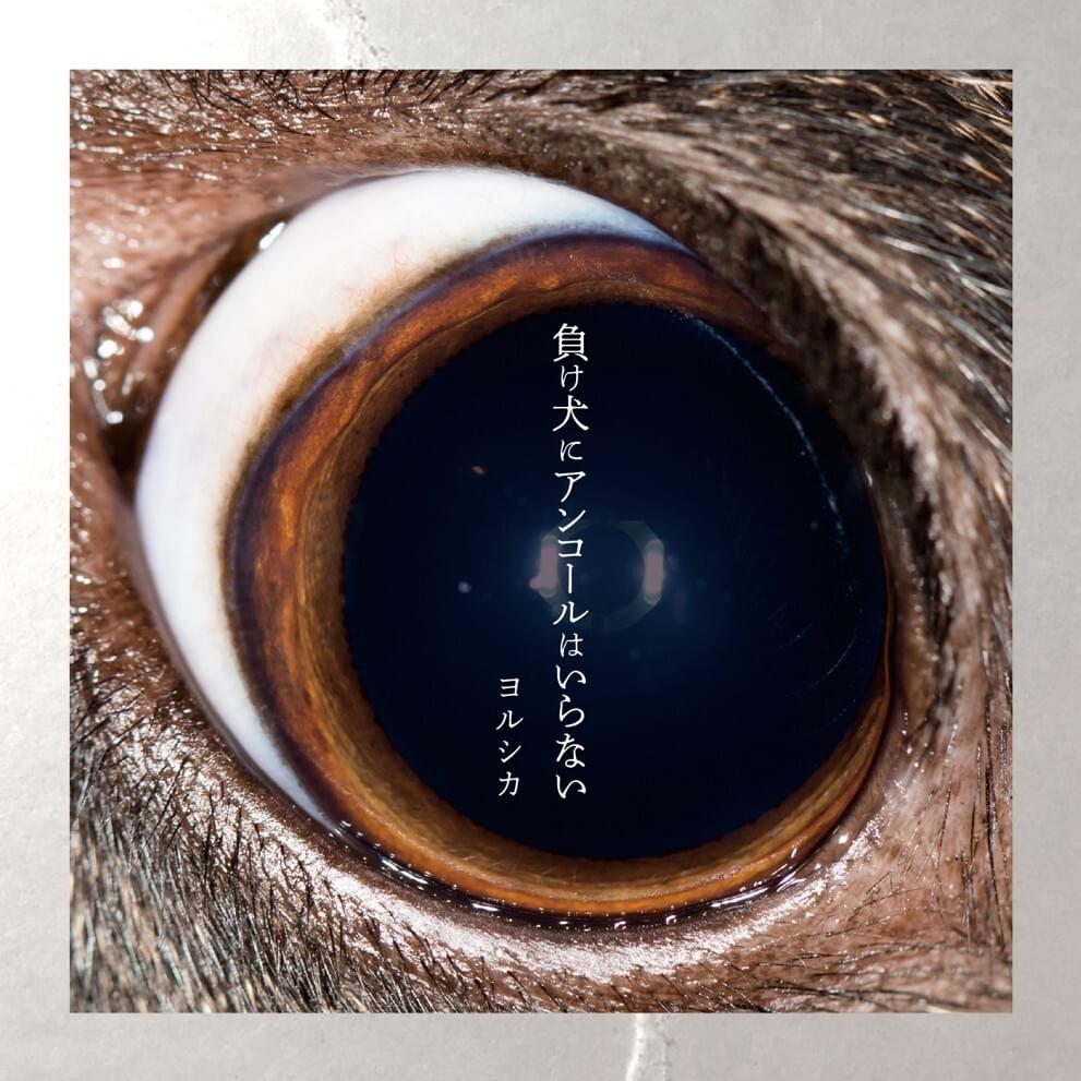 Album cover for 準透明少年