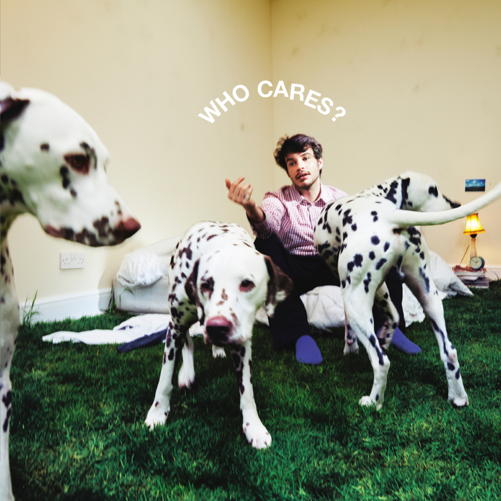 Album cover for THE SHADE