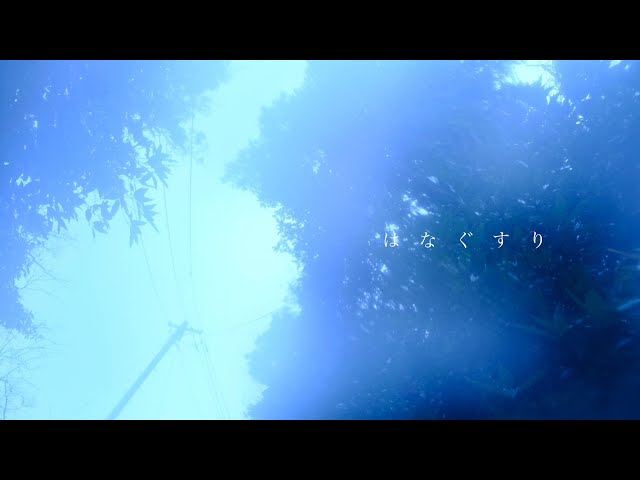 Album cover for はなぐすり