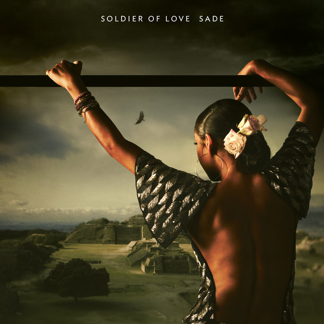 Cover art for Skin