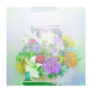 Album cover for あの夏に咲け