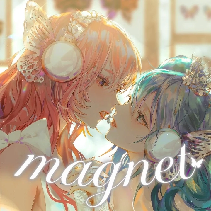 Album cover for magnet