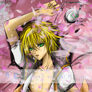 Album cover for 春樹 -harunoki-