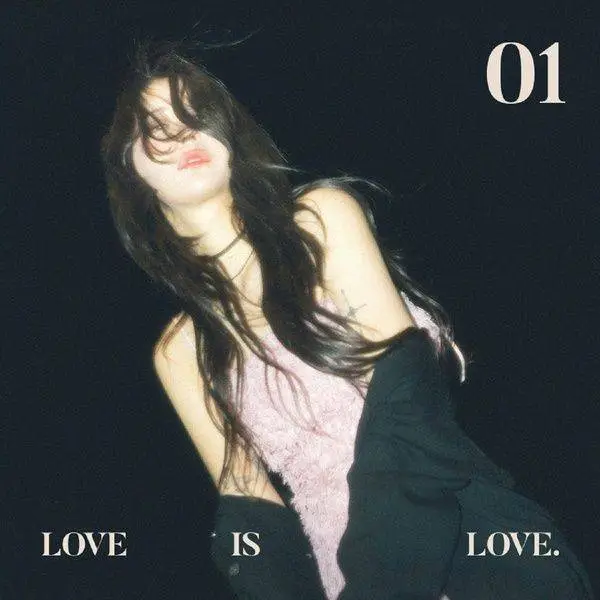 Cover art for Love is Love