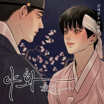 Album cover for 야화
