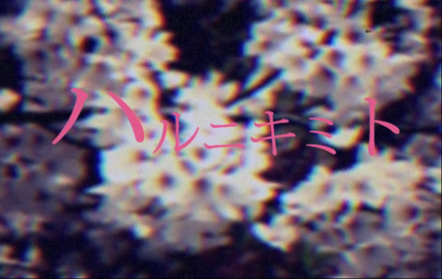 Album cover for ハルニキミト