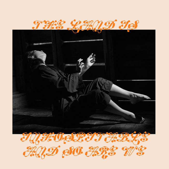 Album cover for I'm Your Man