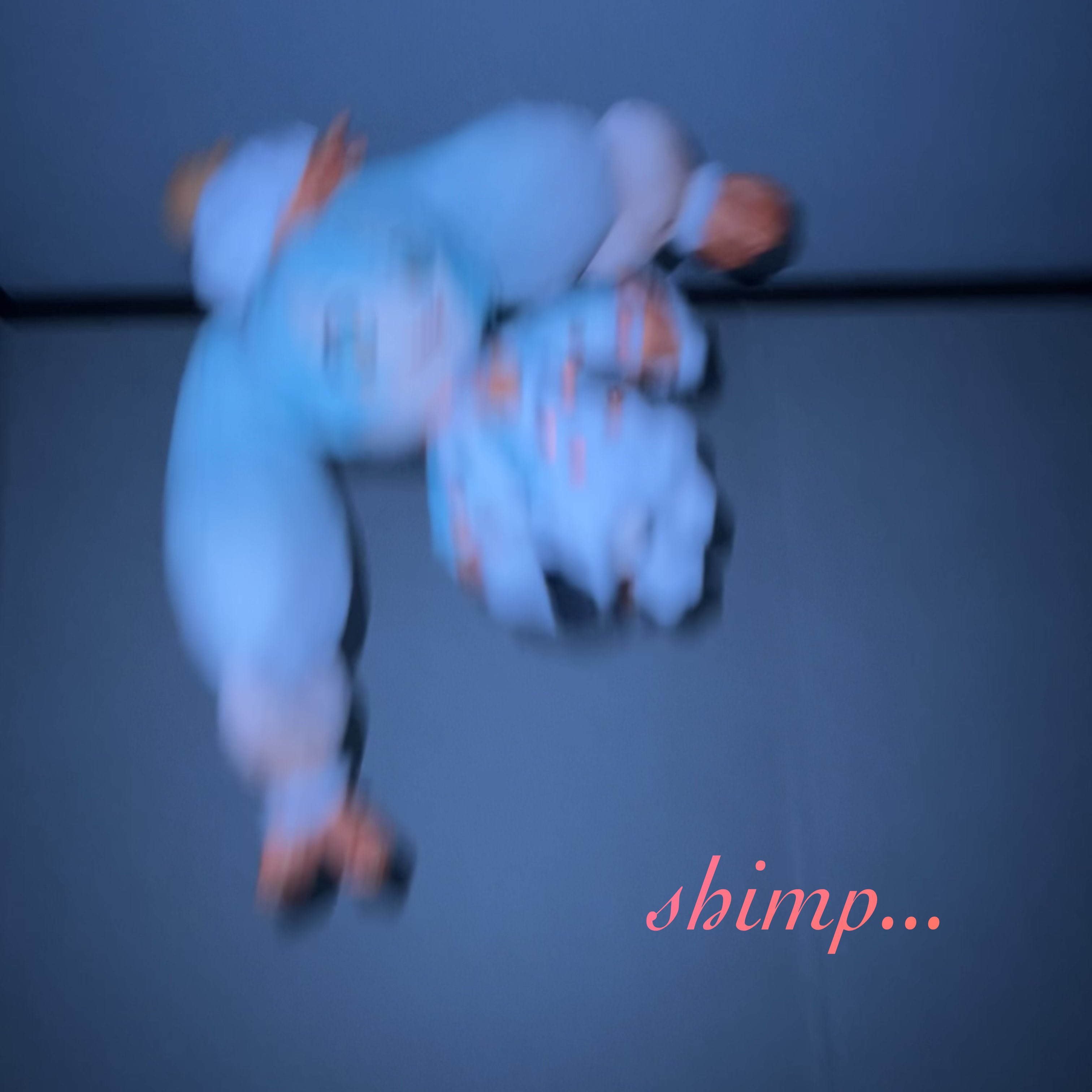 Album cover for エビチャーハン! (You're Telling Me A SHRIMP Fried This Rice?!)