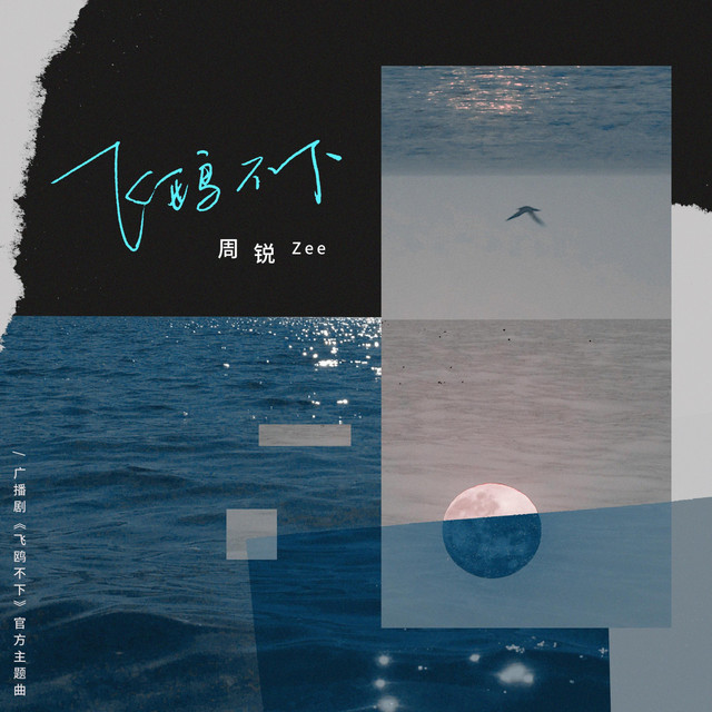 Album cover for 飛鷗不下