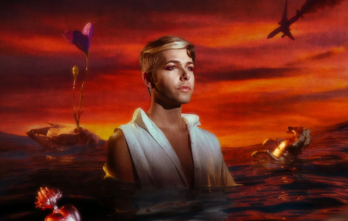 Cover art for Amoureux Forever