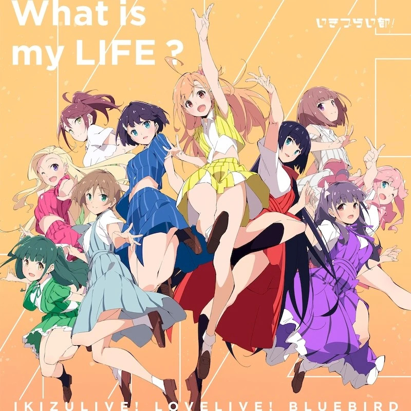 Album cover for What is my LIFE?