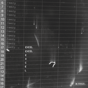 Cover art for EXCEL