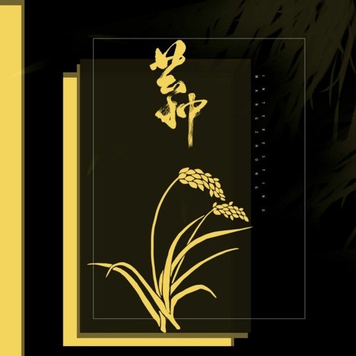 Album cover for 芒种